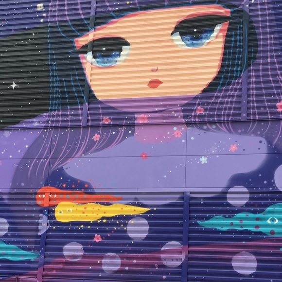 Phoenix 20 Years Old - Picture 5 of 7